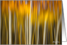 Autumn Splendor Abstract Blank Inside card