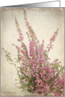 Pink Heather with a textured background - All occasion note card