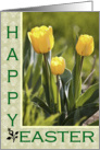 Yellow Tulips - Happy Easter Card