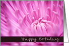 Pink Chrysanthemum Flower - Happy Birthday Card