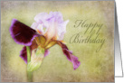 Happy Birthday - Bearded Iris Card