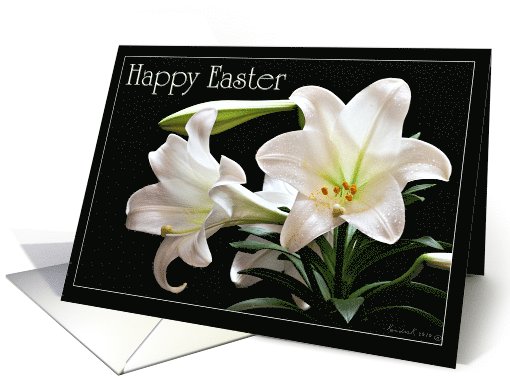 Happy Easter - Easter Lillie's on a black background card (681252)