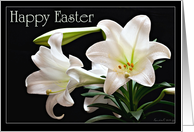 Happy Easter - Easter Lillie’s on a black background card