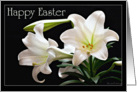 Happy Easter - Easter Lillie’s on a black background card