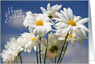 Happy Birthday Daisies - White Daisies against a blue sky card
