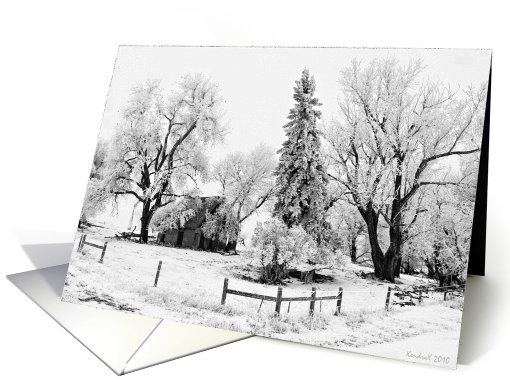 Frosty Farmstead - Stone house and trees blanketed by frost card