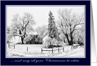 Happy Holidays/White Christmas- Stone house and trees with frost and snow card