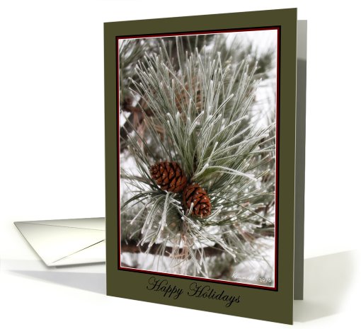 Happy Holidays - Pine cones with frost-blank note card (719636)