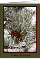 Happy Holidays - Pine cones with frost-blank note card