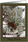 Happy Holidays - Pine cones with frost-blank note card