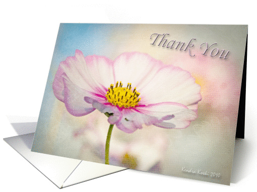 Thank you - Soft Cosmos flower - all occasion card (735854)