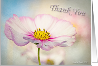 Thank you - Soft Cosmos flower - all occasion card