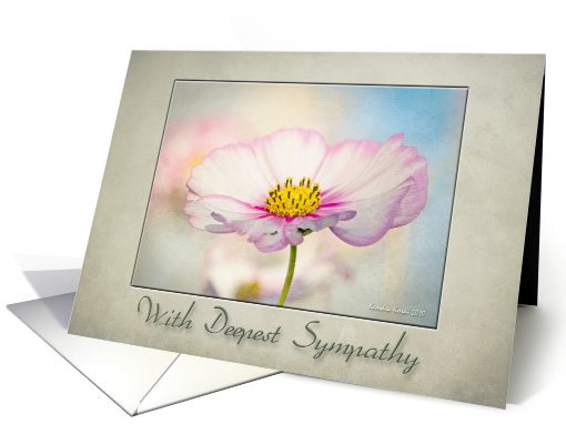 Cosmos Flower -With deepest sympathy - card (735862)