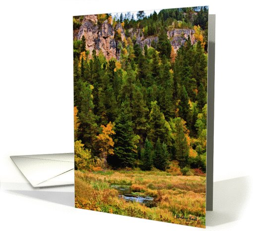 Autumn in Spearfish Canyon, South Dakota - all occasion... (738725)