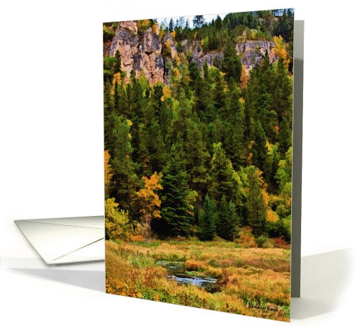 Autumn in Spearfish Canyon, South Dakota - all occasion... (738725)
