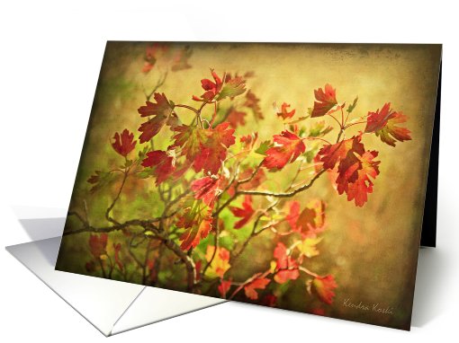 Fall Leaves -Blank All Occasion Note card (748277)