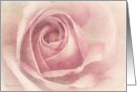 Pink Rose -June Birthday/ Rose Birth Flower - Happy Birthday Card