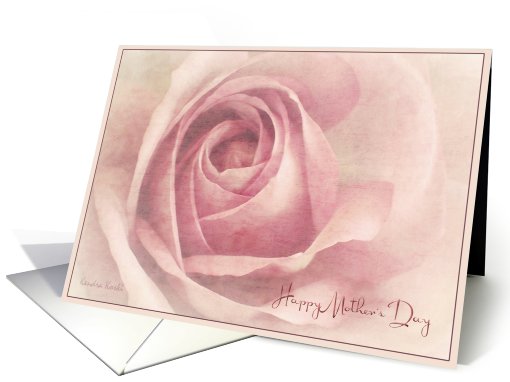 Soft Pink Rose -Mother's Day card (761895)