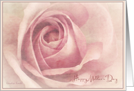 Soft Pink Rose -Mother’s Day Card