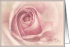 Soft Pink Rose -Mother’s Day Card