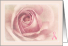 Soft Pink Rose with Breast Cancer Ribbon - Get Well card