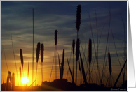 South Dakota Sunset - All occasion note card