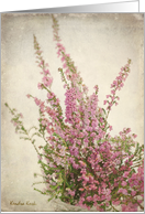 Pink Heather with a textured background - All occasion note card