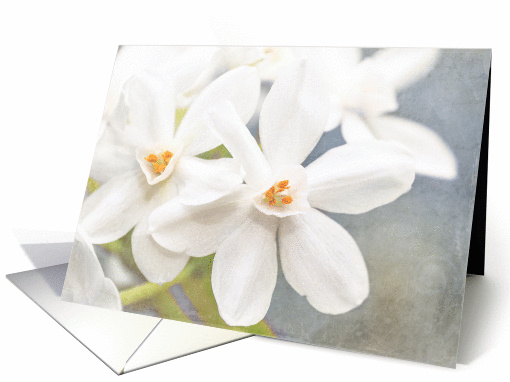 Paperwhite Flowers on Blue - Blank all occasion note card (895782)