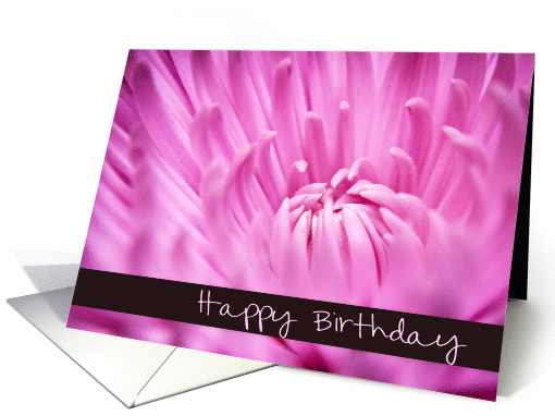 Pink Chrysanthemum Flower - Happy Birthday card (911323)
