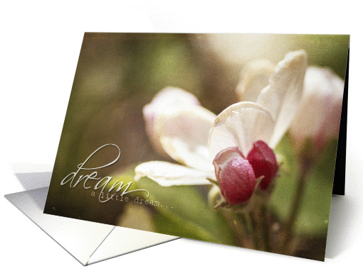 Dream a little dream - apple blossom blank note card (920872)