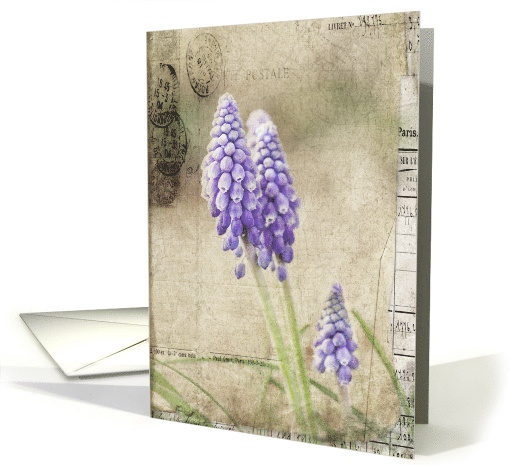 Spring Delivery - Grape Hyacinth Flowers- All Occasion Blank Note card