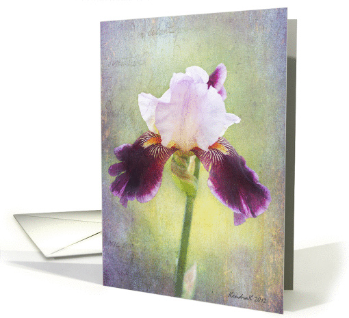 Purple Bearded Iris Flower - All Occasion Note card (941122)