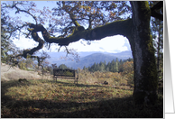 Mountain Rest card