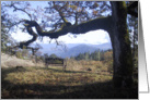 Mountain Rest card