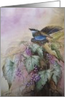 Vinyard. card