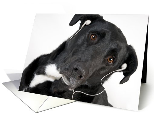 Thank you for listening, dog with earphones card (690626)