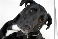 Thank you for listening, dog with earphones card