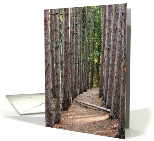 Sympathy nature fallen tree card (897302)