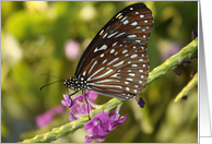 Butterfly With Flowers card