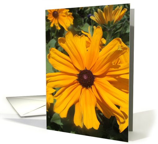 Sunflower card (691777)
