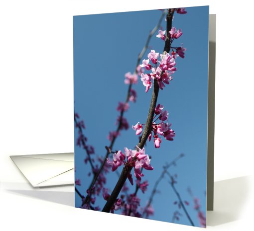 Spring Time Welcome card (691785)