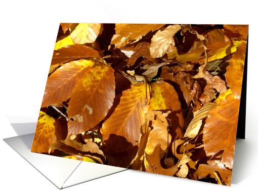 Autumn Leaves card (691801)