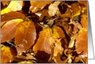 Autumn Leaves card