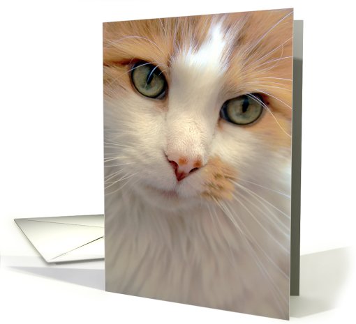 Ginger Cat Portrait card (703766)