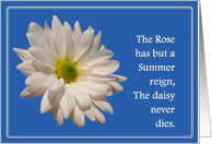 Daisy Friendship Card