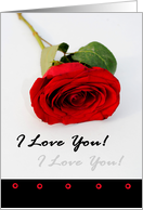 Red Rose Love Romance card
