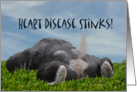 Heart Disease Stinks Get Well Soon Monkey Animal Humor Card