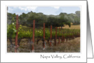 Napa Valley California Blank Note card