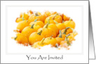 Halloween Festive Autumn Pumpkins Party Invitation card