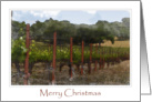 Merry Christmas Napa Valley card